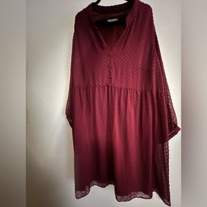 Women's Long Sleeve Clip Dot Babydoll Dress